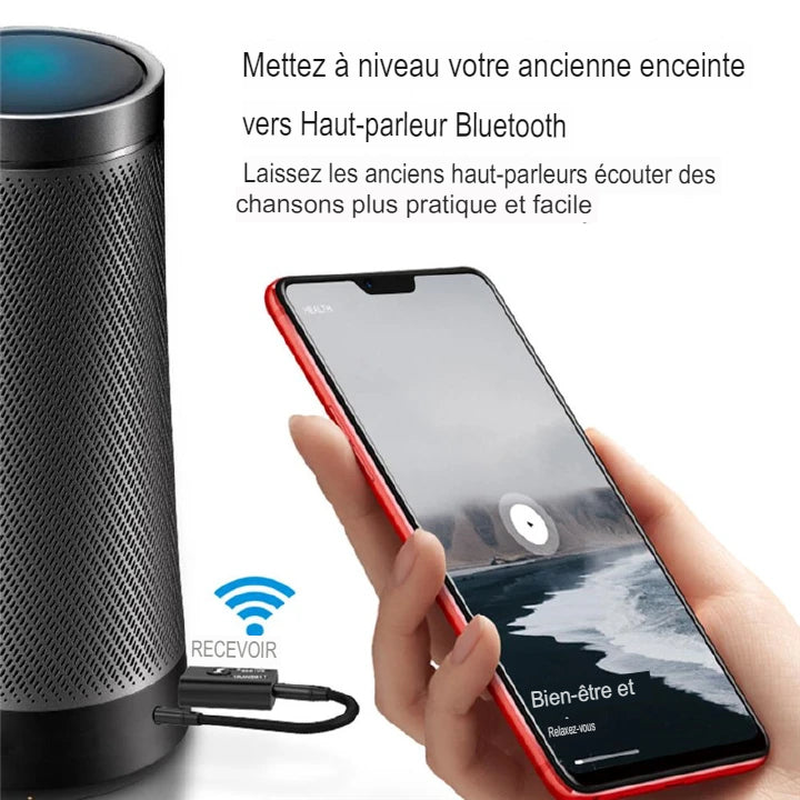 Émetteur Et Récepteur Bluetooth Rendez Tout Appareil Connectable Avec Bluetooth