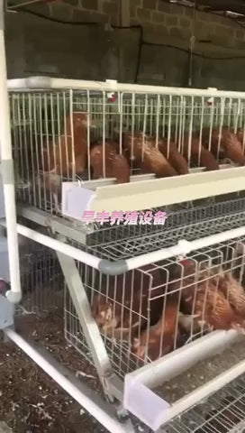 (FRAIS DE TRASNPORT NON INCLU ) Cages de poules pondeuses cages d'élevage